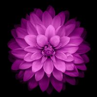 Download iOS-8 wallpapers