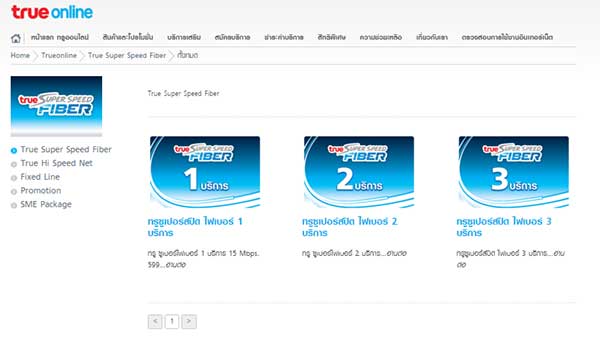truefiber2