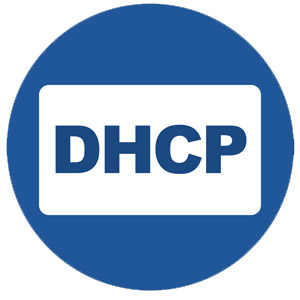 DHCP-1